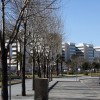 Foto de Hospital Universitario la Fe
