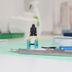 Fesadent