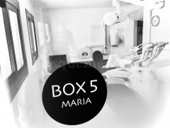 BOX 5 - Porta Dentistes