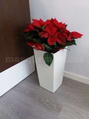 Recepción - Centre Mèdic Cubelles