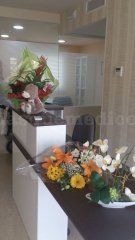 Recepción - Clínica Dental Ana Victoria