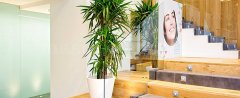 Clinica Dental Ruiz de Gopegui - Clinica Dental Ruiz de Gopegui