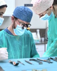 Dr. Sergio Palma Ortiz - Clínica Palma Medicodental