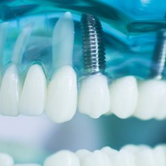 Holmex Dental Institute