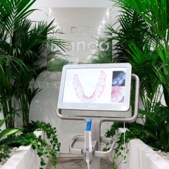 Salud Dental Blanco
