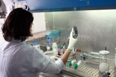 Laboratorio - Fundación Estudio Hepatitis Virales (FEHV)