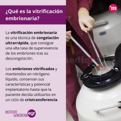 Vitrificación de embriones - Instituto de Medicina EGR
