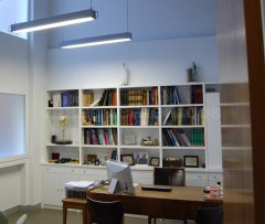 Consulta - Scola Ramírez ORL