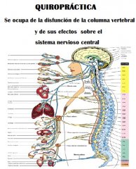 Quiropráctica - Gabriel Scortichini