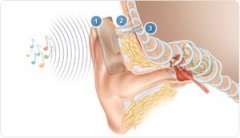 Otros implantes - Manuel Sáinz Quevedo
