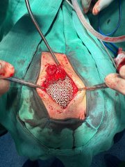 Dr. Néstor Palma Moreno