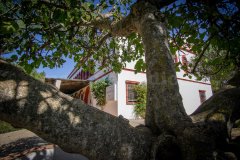 Centro San Felipe Neri
