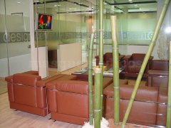 Sala de espera - Institut Joan Autrán