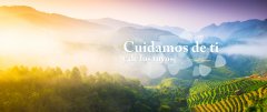Clínica Odontológica Integral Culmen