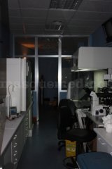 Laboratorio - Clínicas Ginemed
