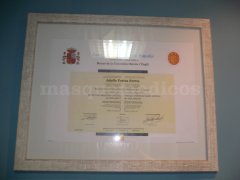 Clínica de Fisioterapia Adolfo Fortea