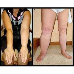 Clínica de Fisioterapia Adolfo Fortea