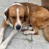 Foto de Asturvida