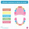 ¿Cuándo erupcionan los dientes de leche? - Dental Basi - Clínica Dental Basi