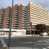ver foto - Pilar Naranjo González-Quevedo